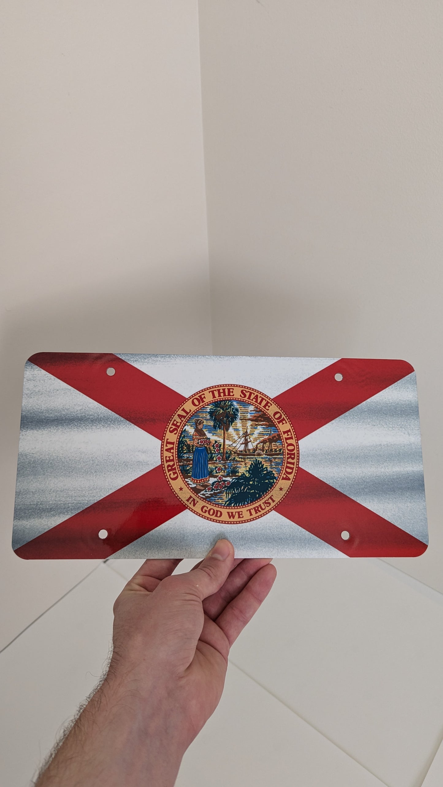 Florida's Flag License Plate